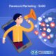 facebook-marketing-100-usd